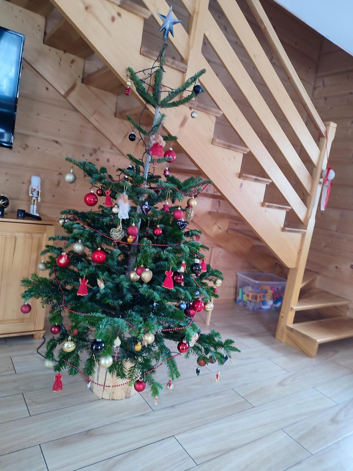 Domek U Matusa Gliczarow Gorny Luaran gambar